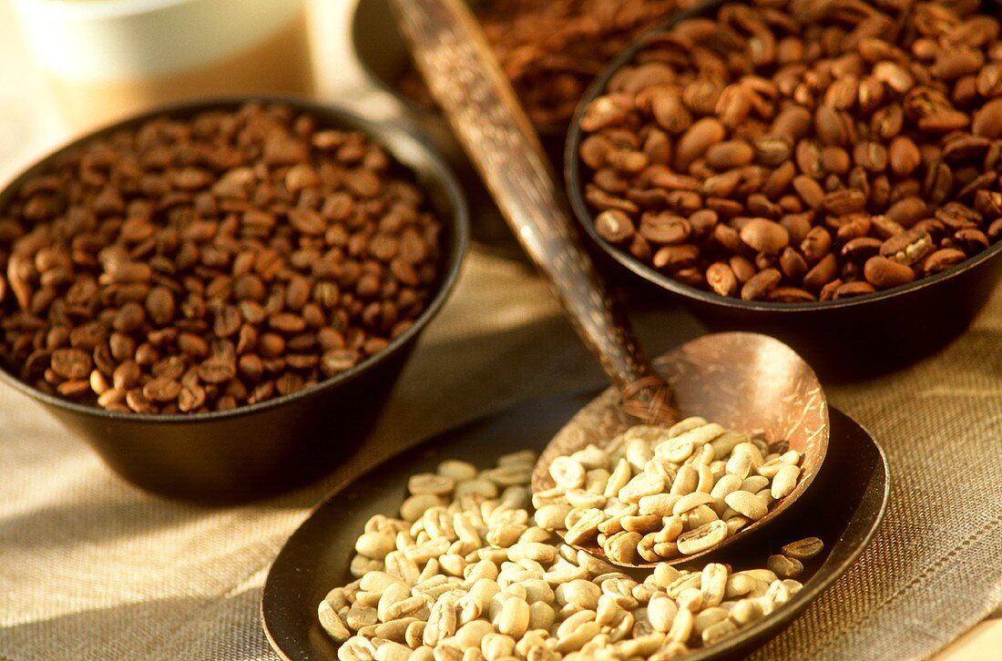 Coffee beans: unroasted, Malabar & Mokka Harrar varieties