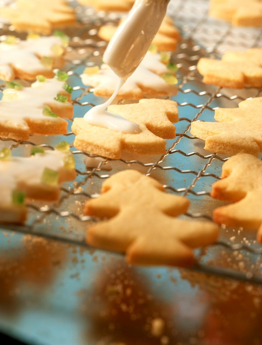 Icing fir tree biscuits