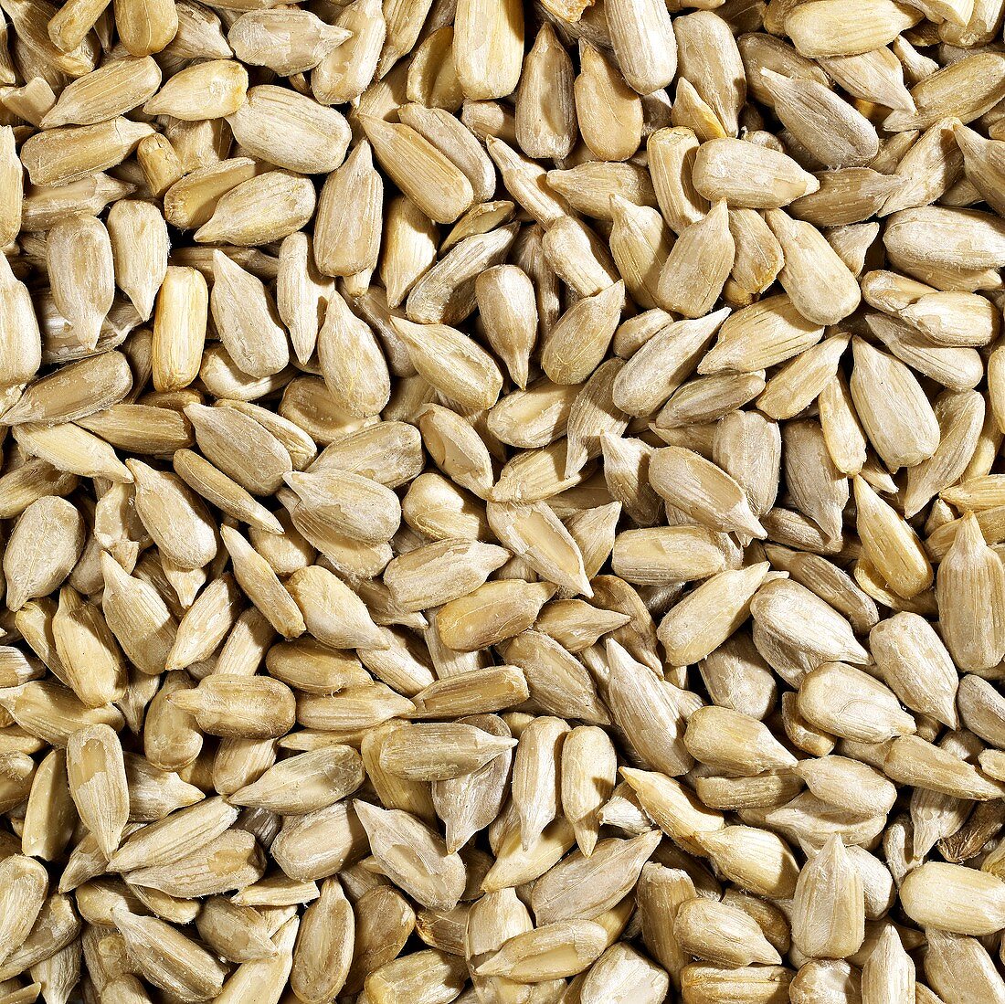 Sunflower seeds, filling the picture