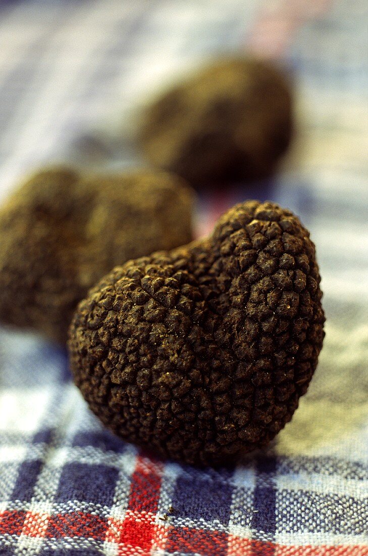 Black truffle on a kitchen cloth
