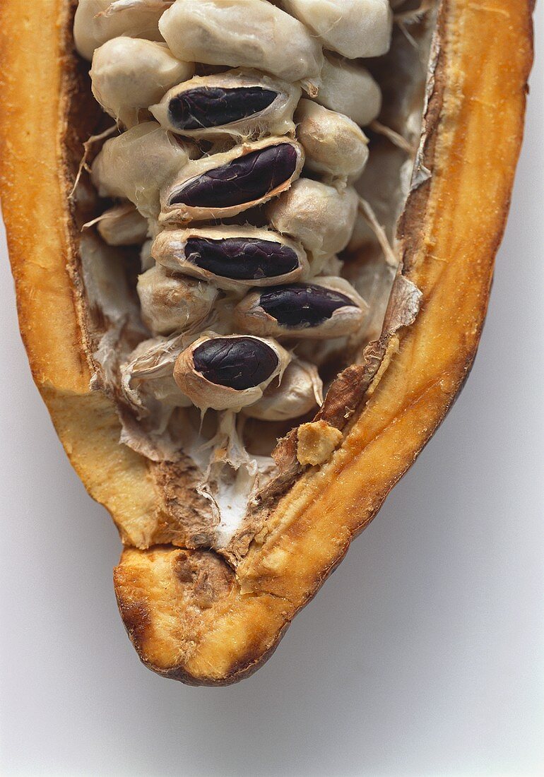 Fresh cocoa beans in halved cacao fruit