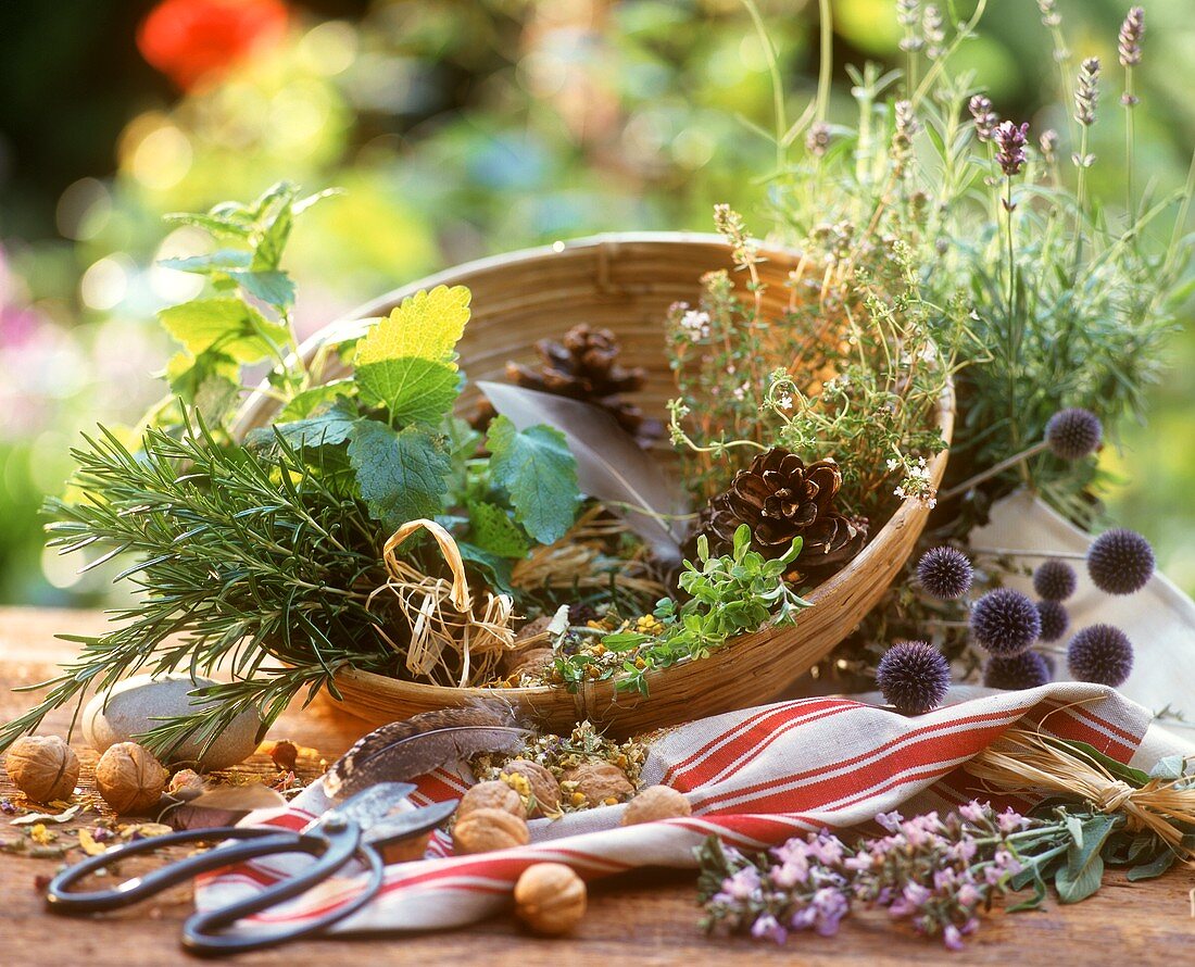 Stillleben mit spätsommerlicher Pflanzen- und Kräuterdeko