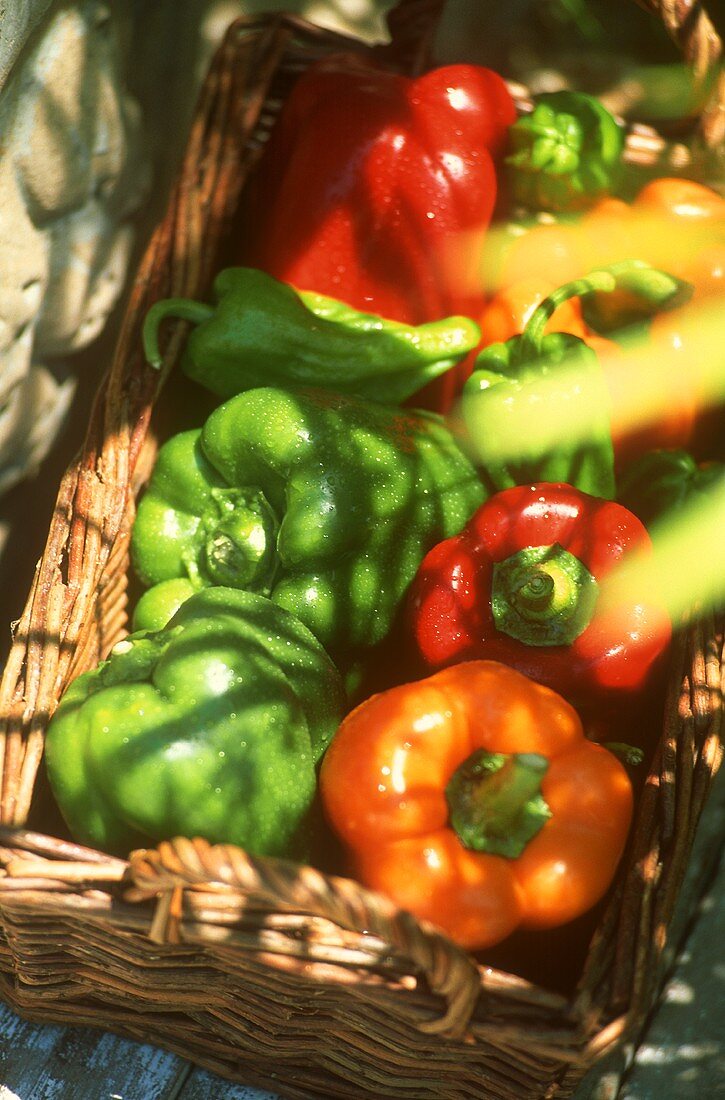 Basket of assorted peppers