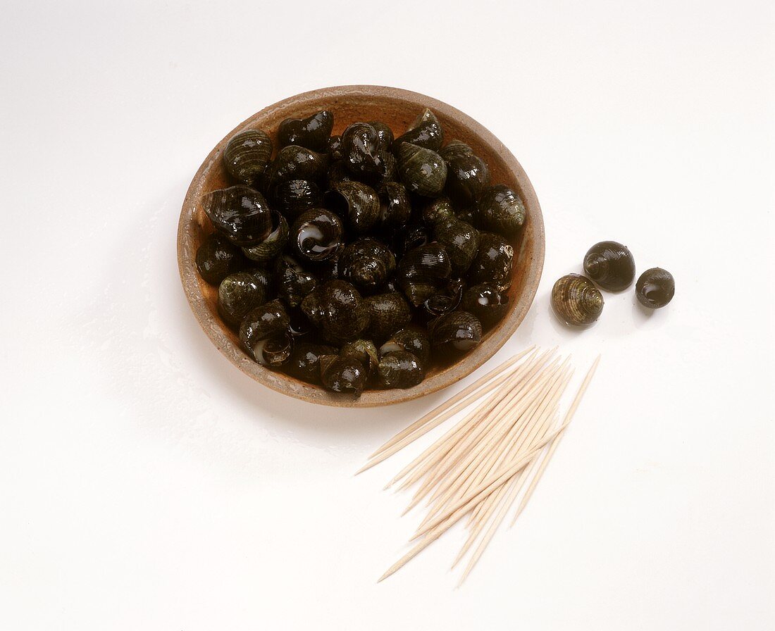 Strandschnecken (franz.: Bigorneaux) & Spiesschen zum Essen