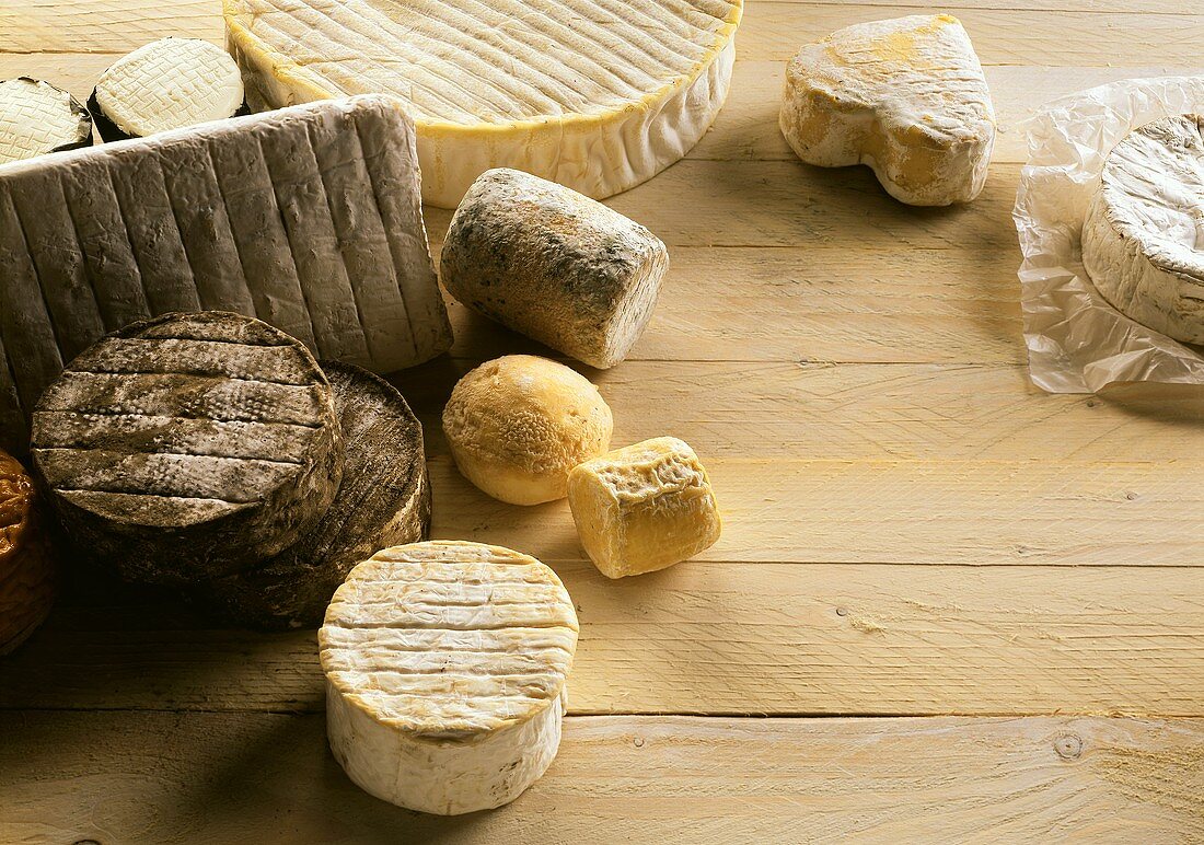 Various sorts of cheese on wooden background