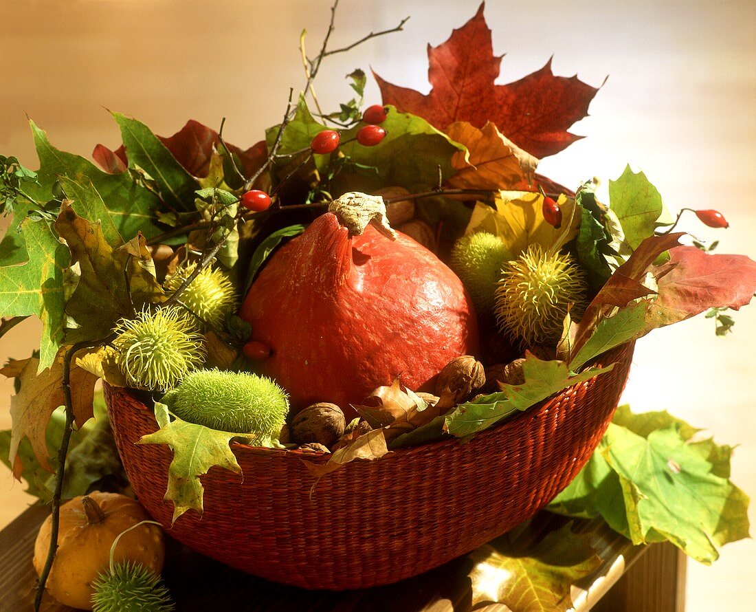 Bowl with small pumpkin, chestnuts, leaves as autumn decoration