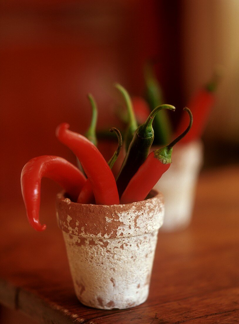 Red and green chili peppers in a terracotta pot