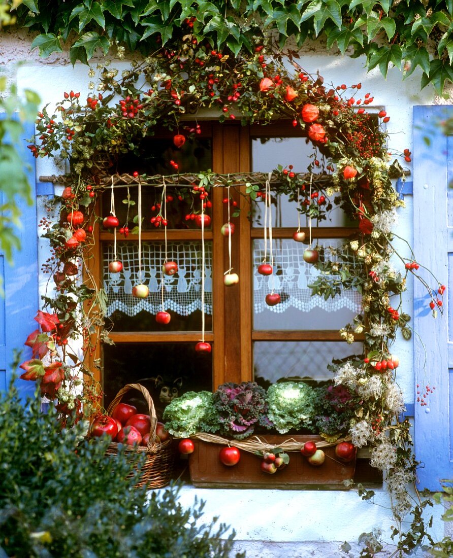 Autumnal window decoration with apples and cabbage