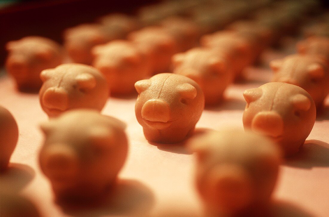 Marzipan pigs on conveyor belt (Niederegger factory, Lübeck)