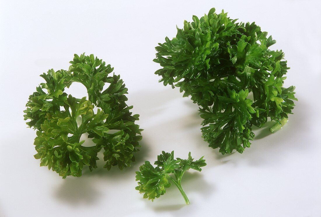 Curled parsley