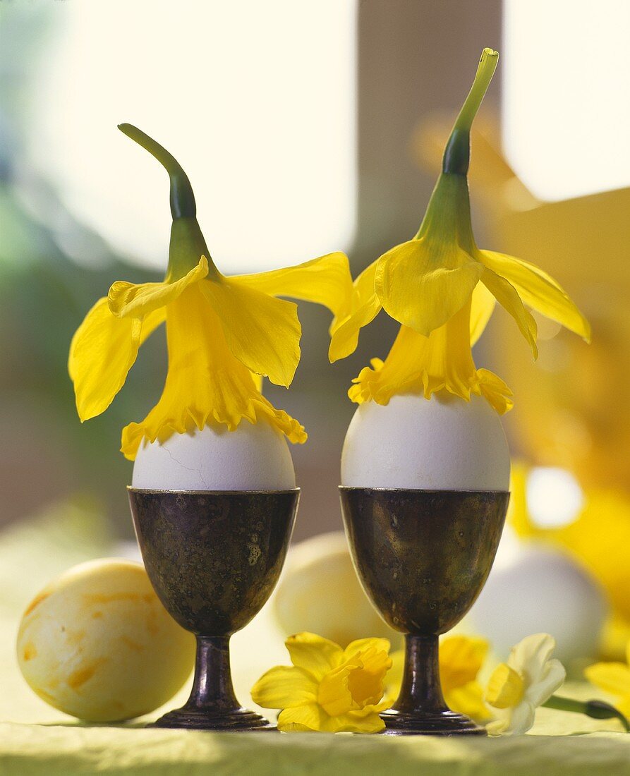 Eggs in egg-cups decorated with daffodils