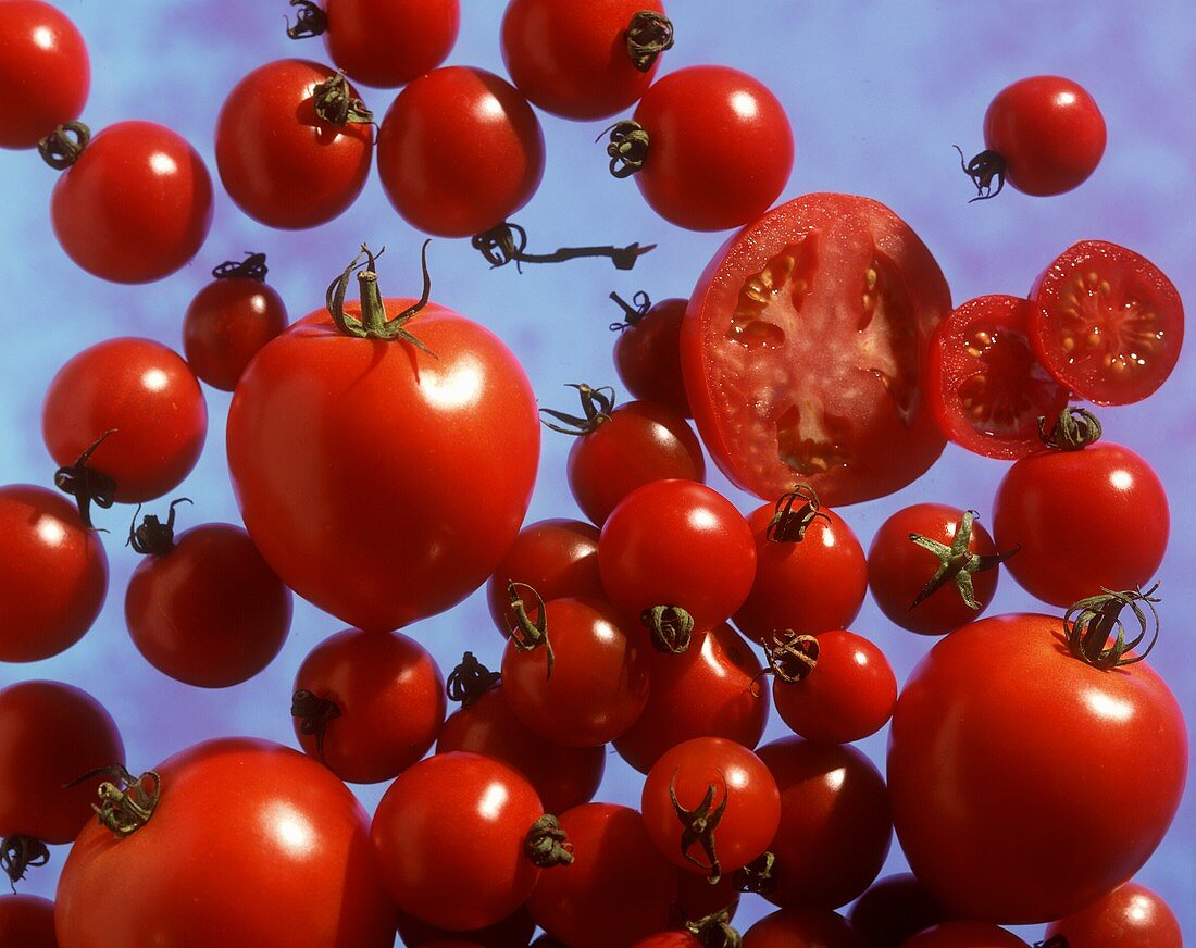 Ganze und halbierte Tomaten auf blauem Untergrund