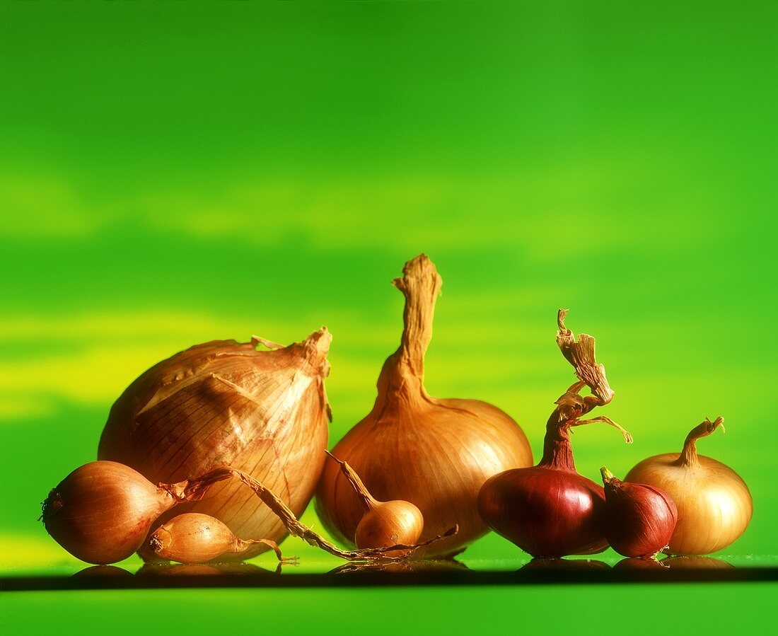 Various types of onions against green background