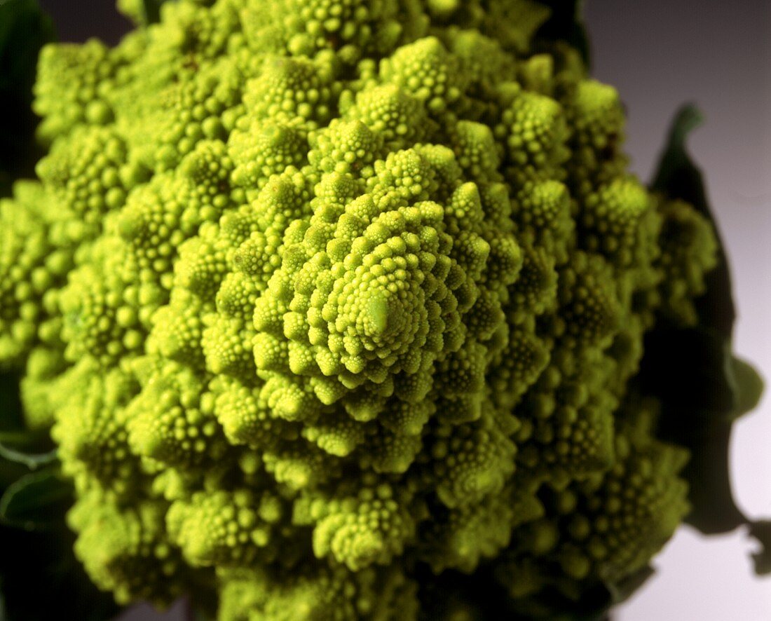 Romanesco broccoli (close-up)