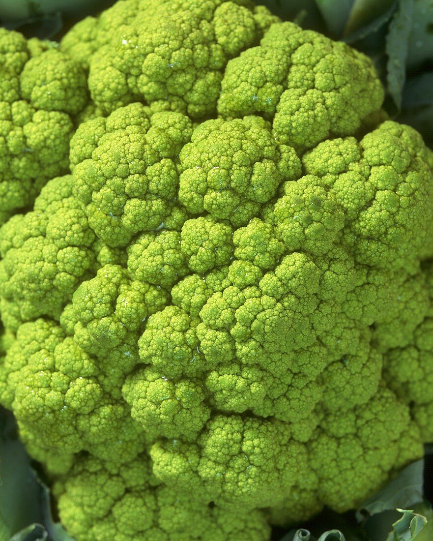 Green cauliflower (close-up)