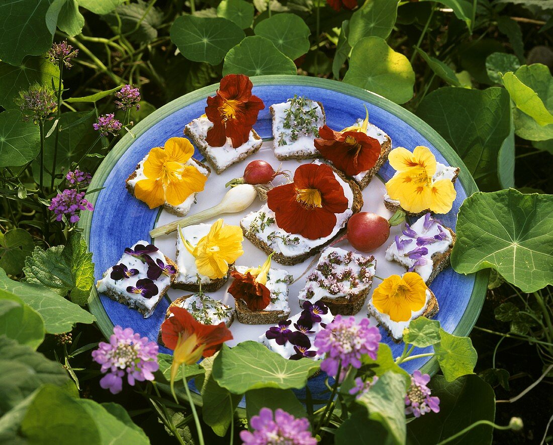 Flower snacks: soft cheese sandwiches with edible flowers