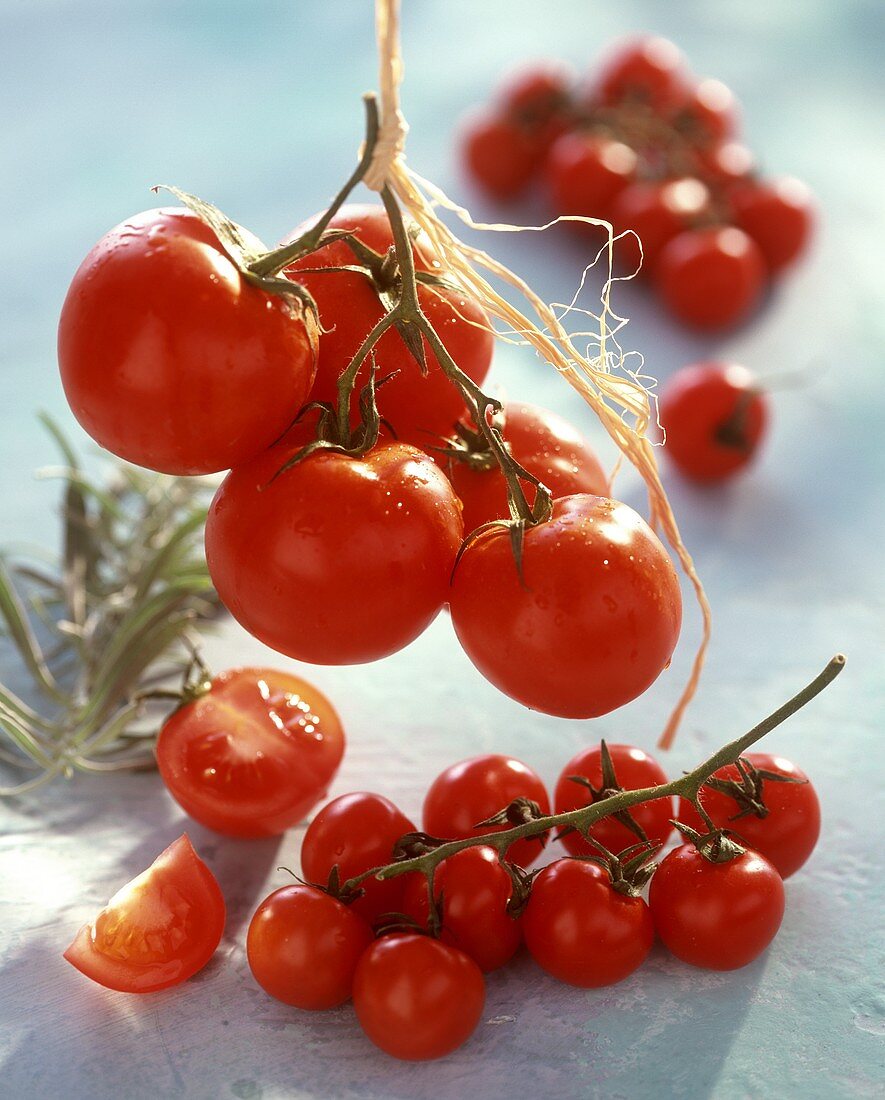 Vine tomatoes and cherry tomatoes
