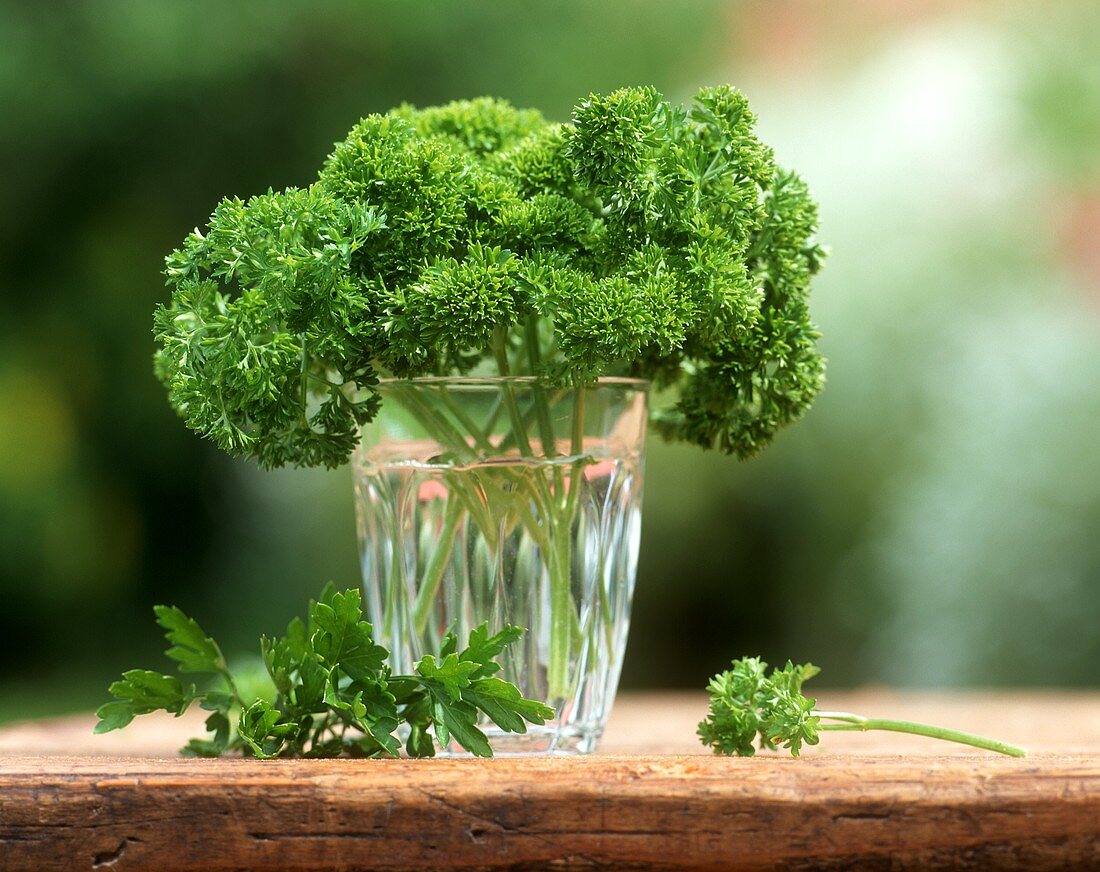 Parsley in glass of water