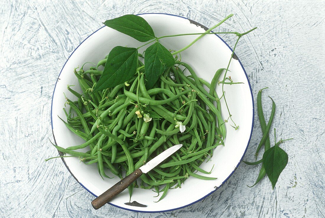 French beans with knife in a dish