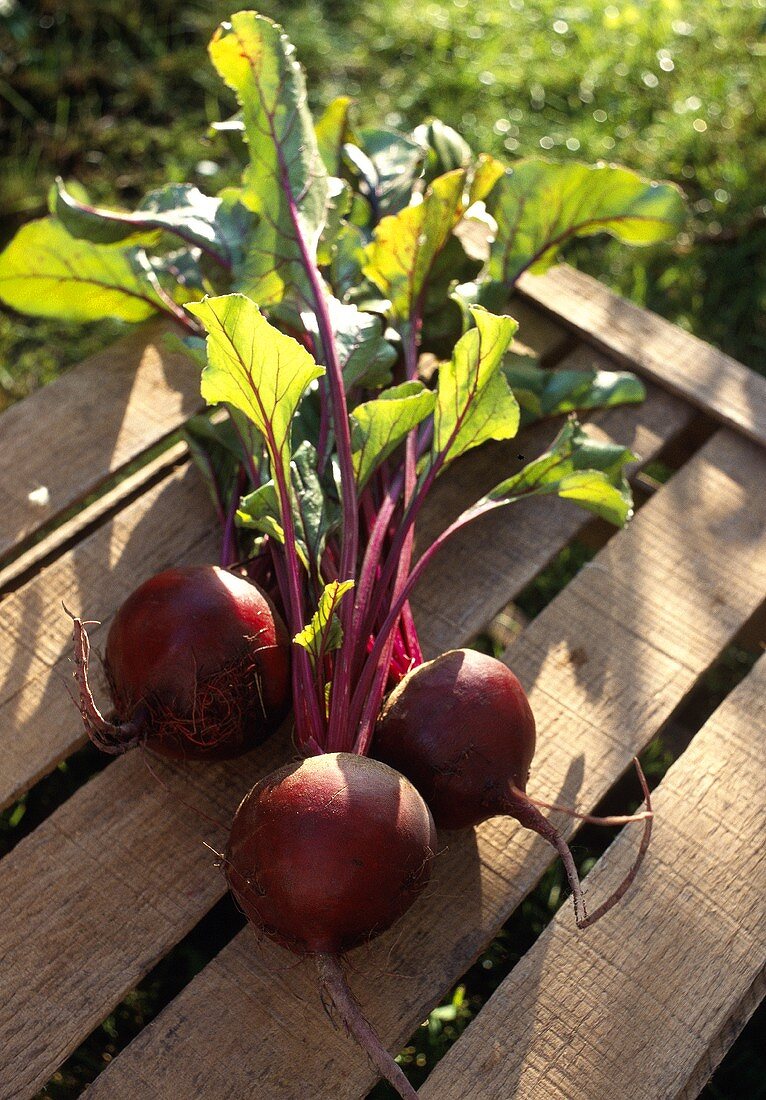 Beetroot on wooden crate in open air