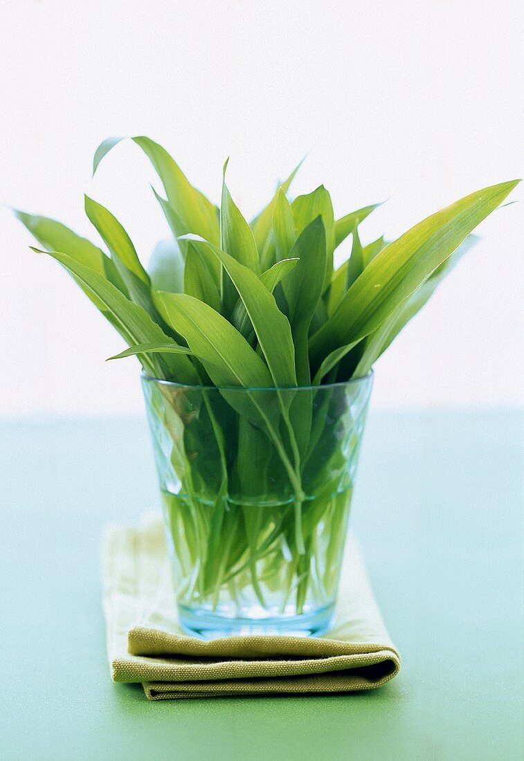 Fresh ramsons (wild garlic) leaves in glass of water