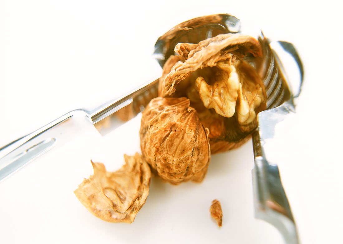 Nut cracker with cracked walnut