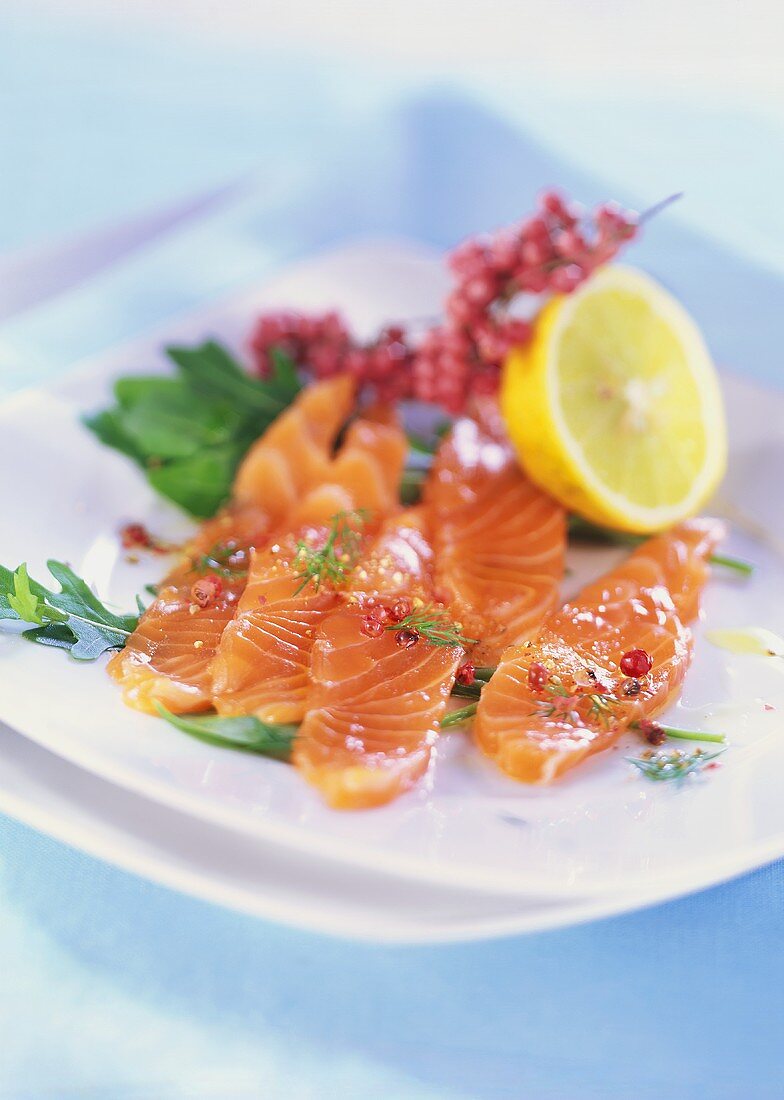 Wild salmon carpaccio on rocket