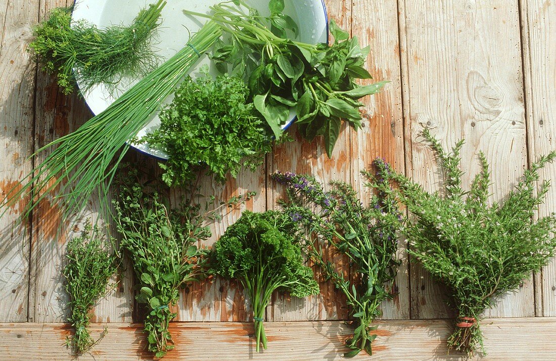 Still life with herbs