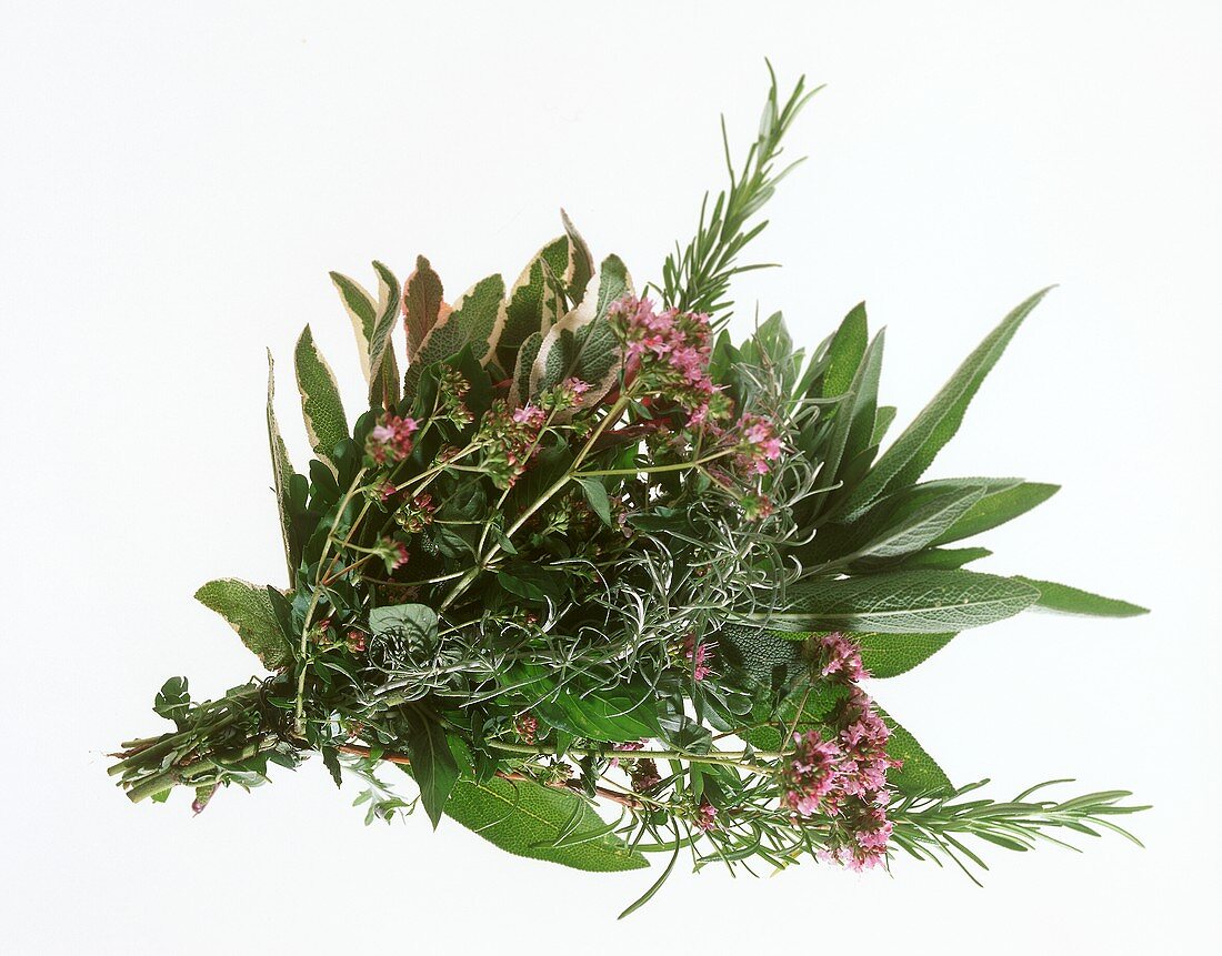 Bunch of herbs on a sheet of glass