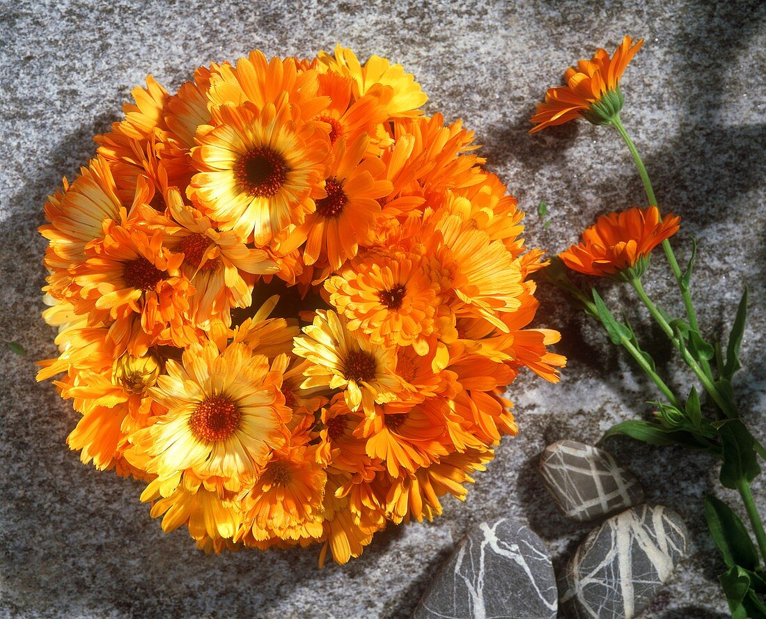 Frischer Ringelblumenkranz