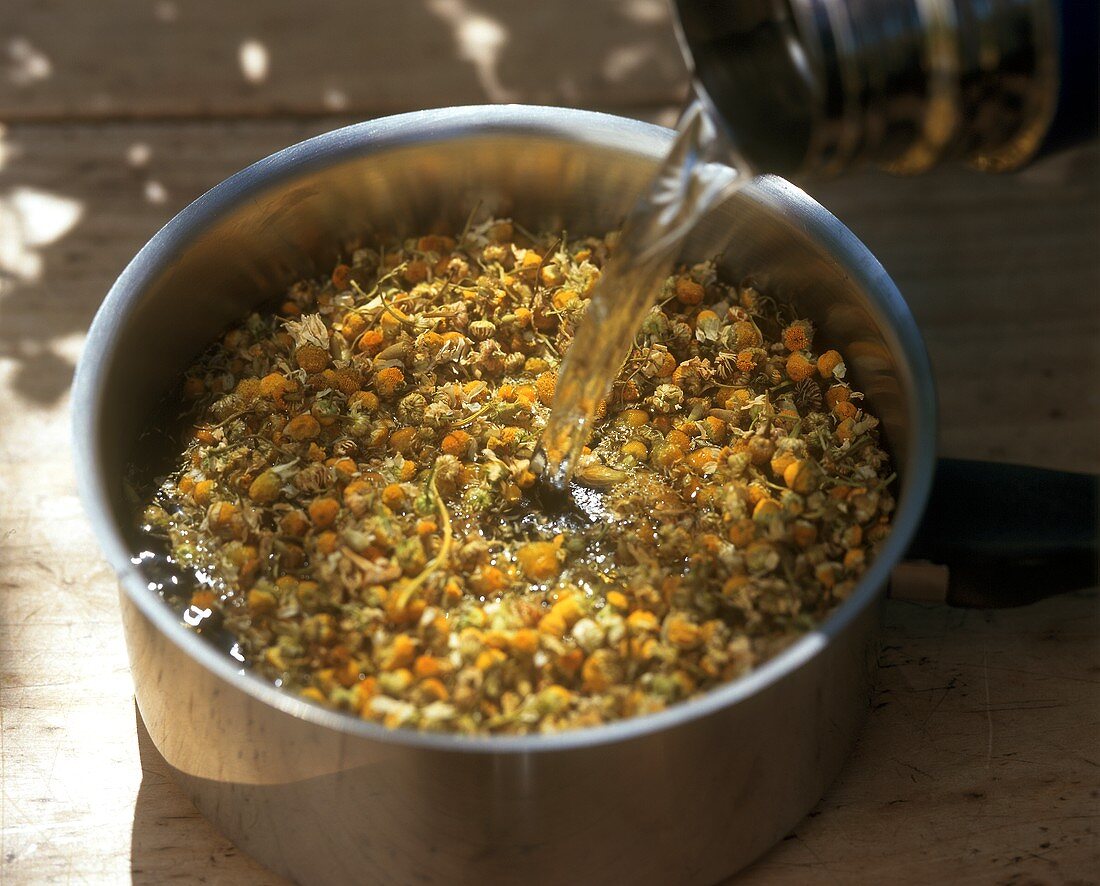 Infusing chamomile flowers (for tea or steam bath)