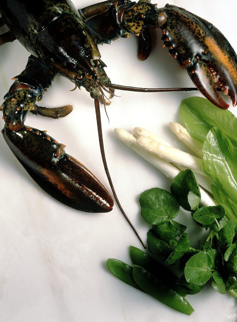 Lobster, asparagus, sorrel, watercress, mangetout