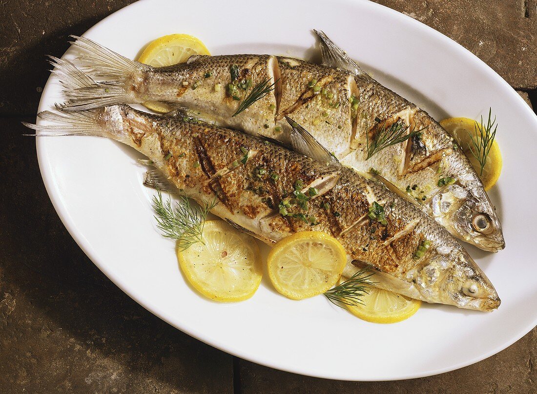 Grilled White Fish