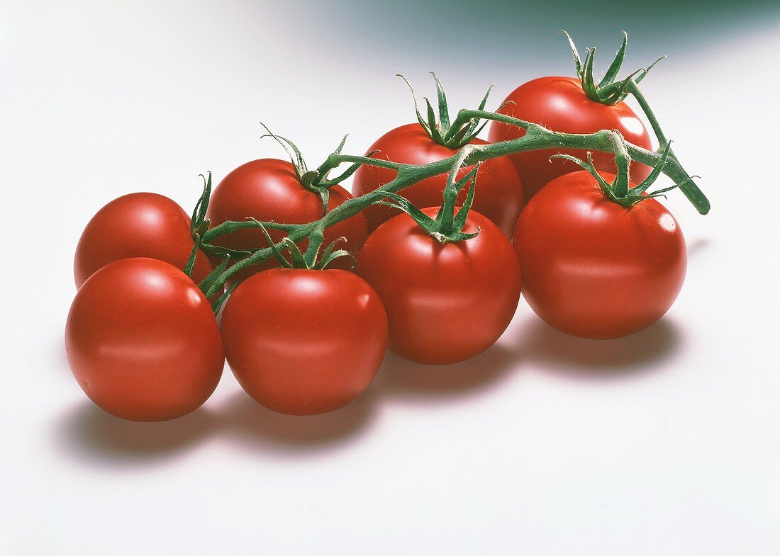 Strauchtomaten (Rispentomaten)