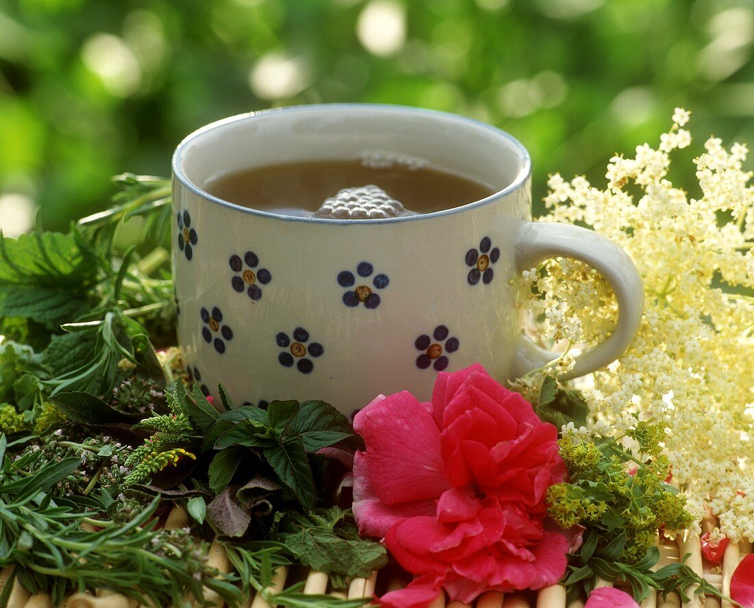 A cup of summer flower and herb tea