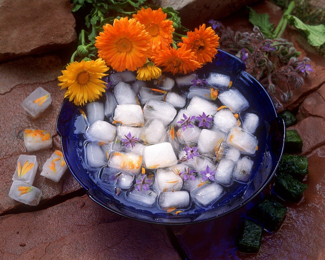 Eiswürfel mit eingeschlossen Essblüten, daneben Kräuterwürfel