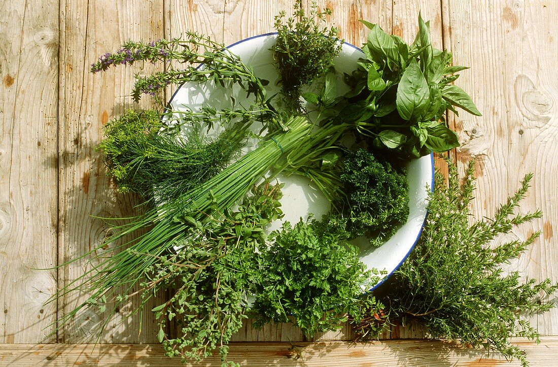 Various culinary herbs in a white dish