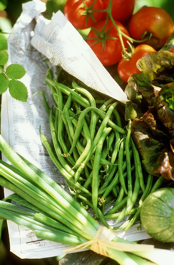 Frisches Gemüse mit Bohnen im Zeitungspapier
