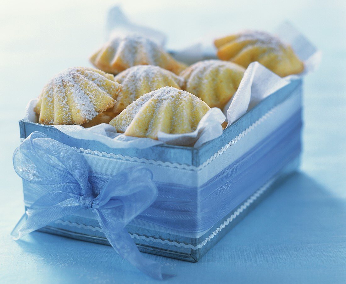 Madeleines in a box (small French cakes)