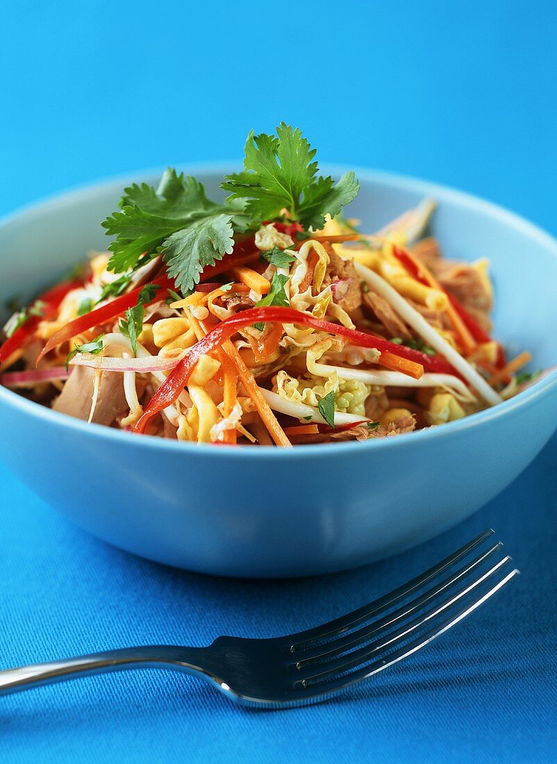 Tuna salad with vegetables and sprouts