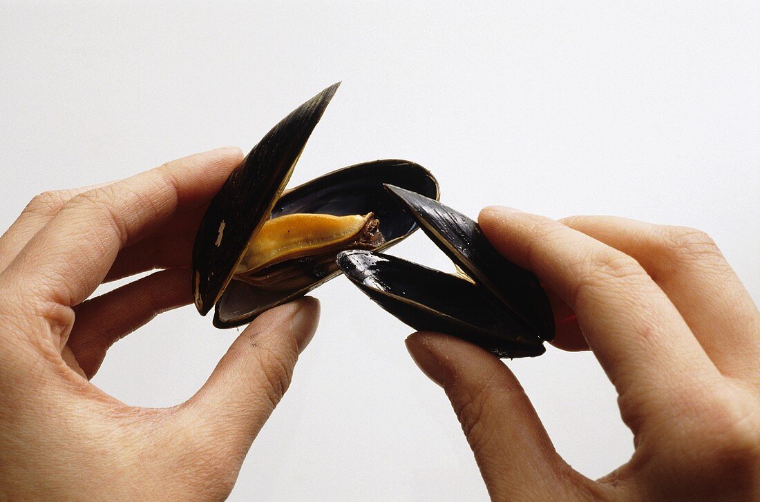 Eating mussels with one's fingers