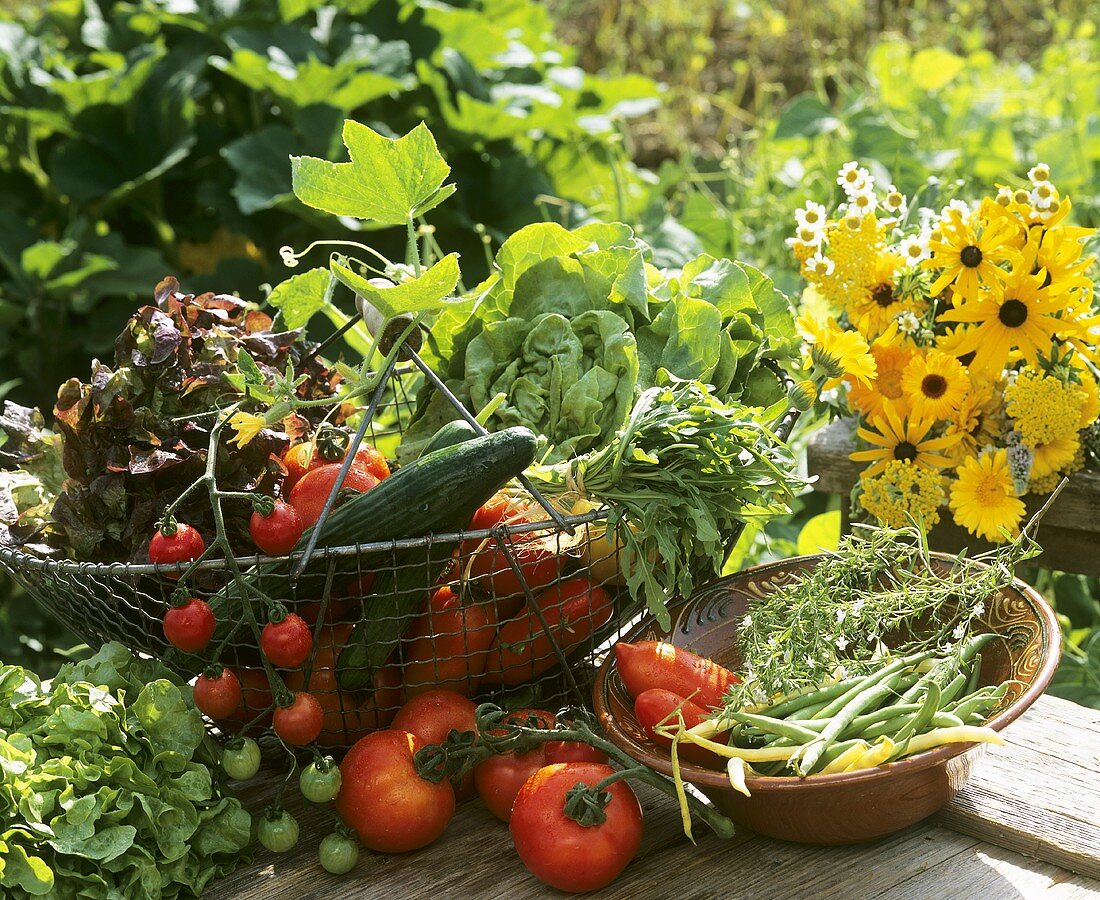 Gemüse und Blattsalate auf einem Gartentisch