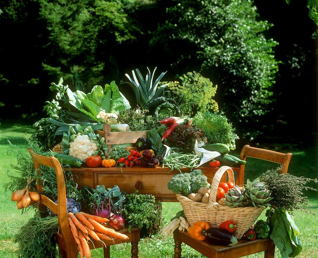 Freshly picked vegetables