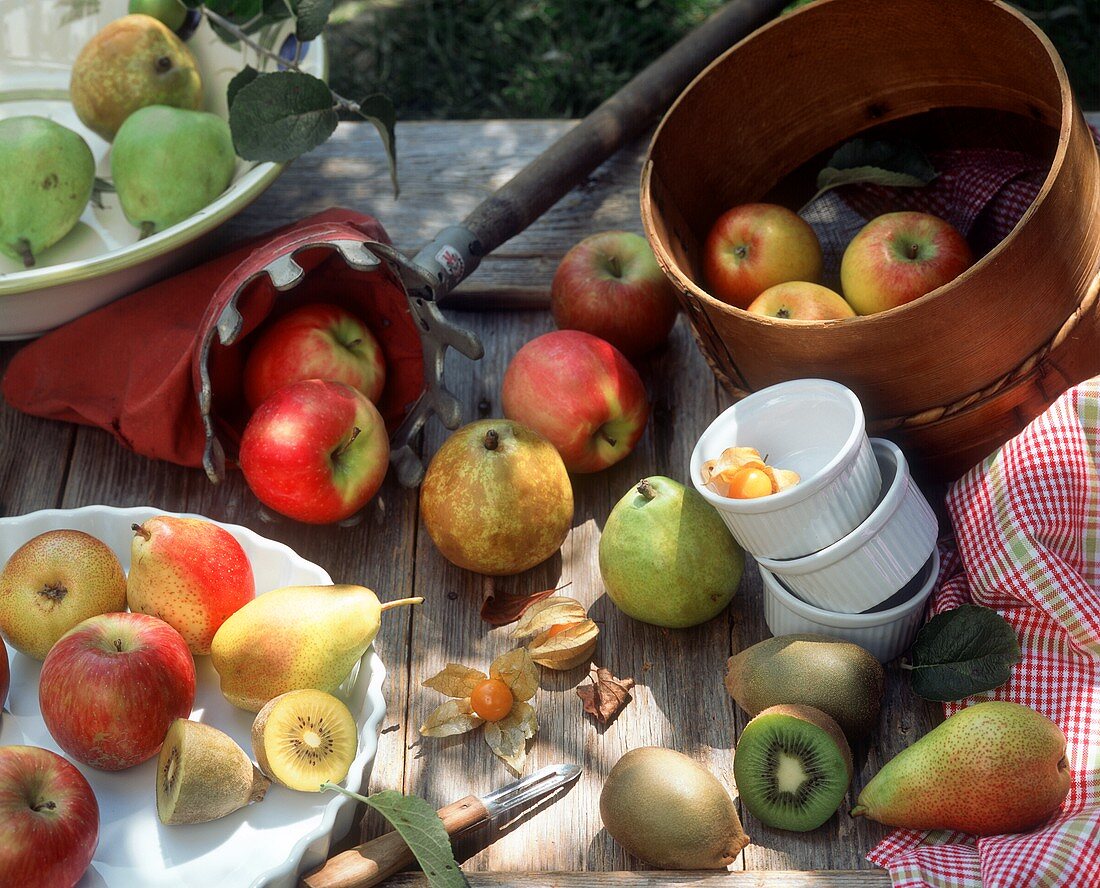 Apples, pears and kiwi fruits on a garden table