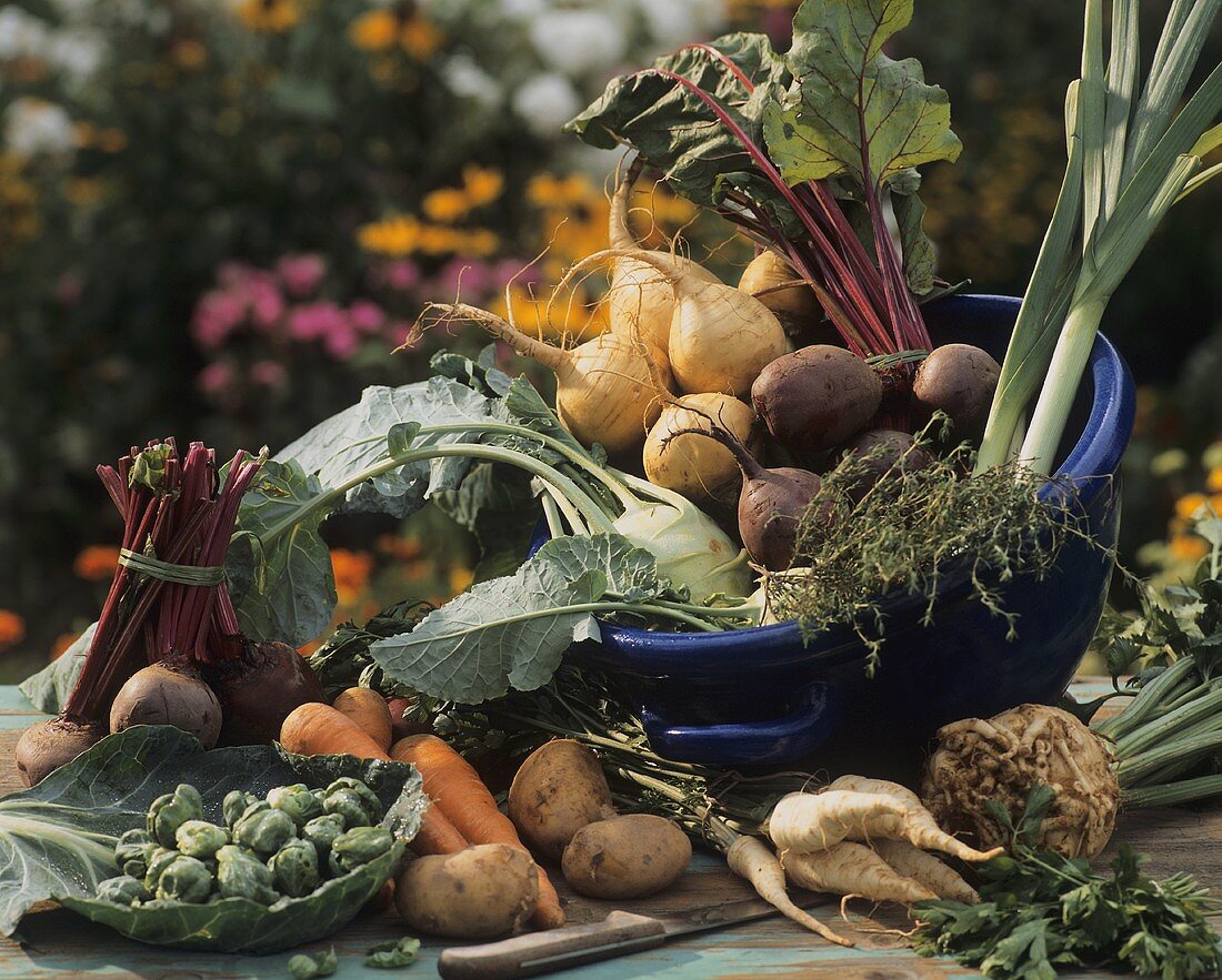 Various vegetables for soups an stews