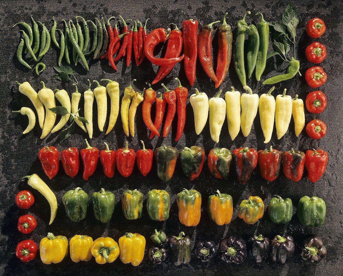 Various types of peppers