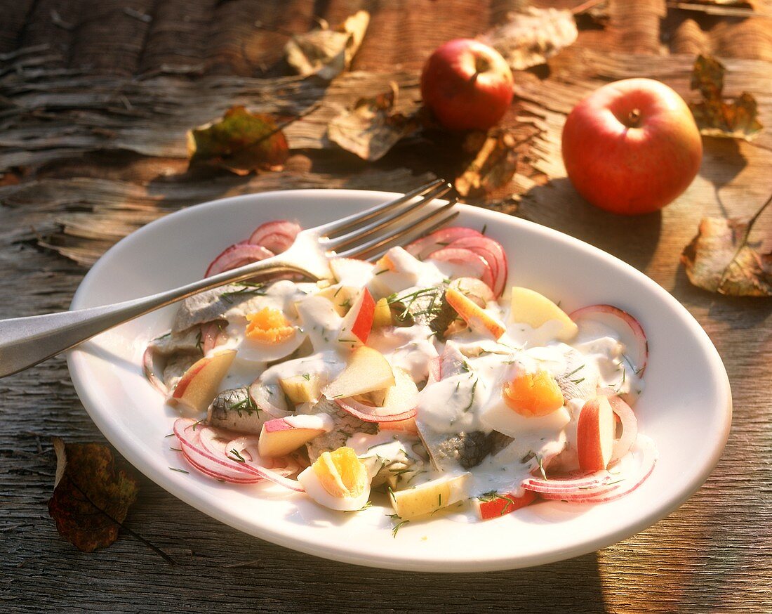 Herring salad with apples