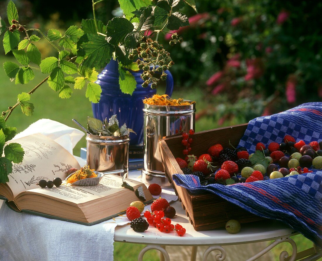 Verschiedene Beeren, Blüten und Buch auf Gartentisch