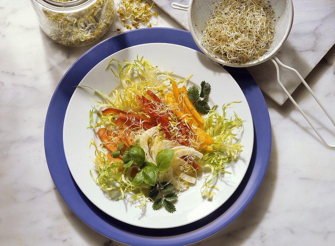 Summer Salad with Sprouts
