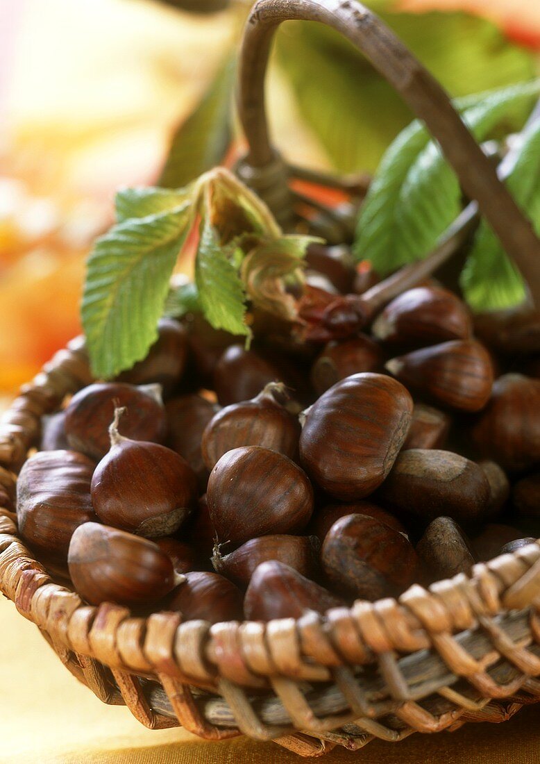 Sweet chestnuts in a basket